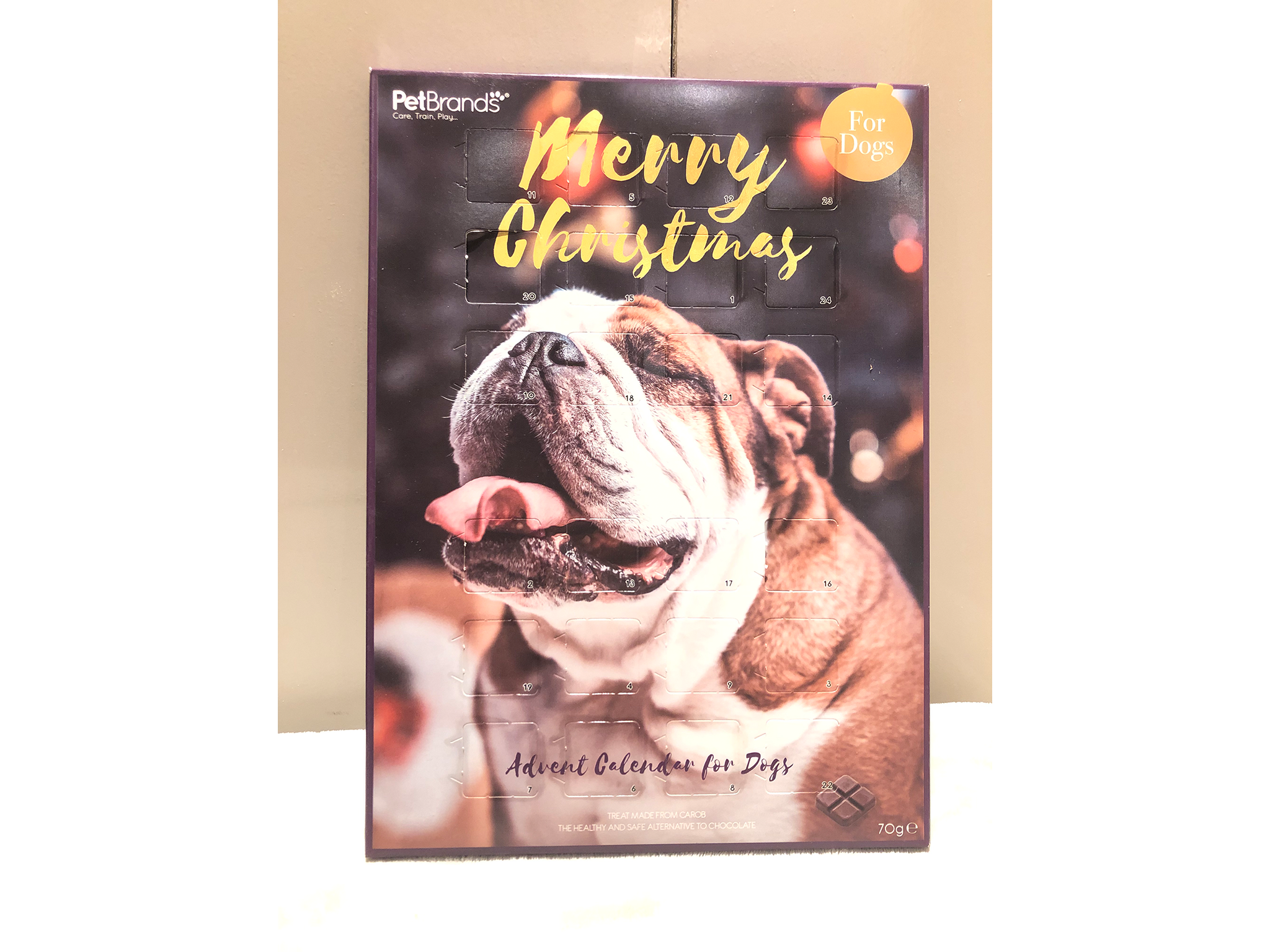 Dogs trust clearance advent calendar